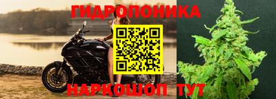 трава Железноводск