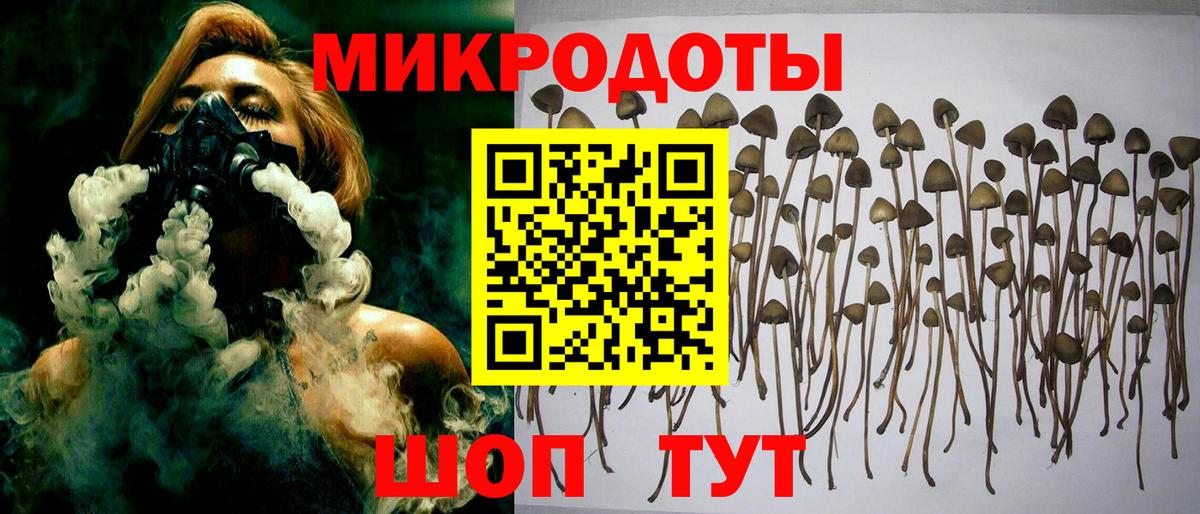 Псилоцибиновые грибы Magic Shrooms  Вход с VPN  Дедовск 