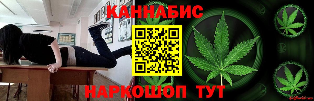Шишки марихуана планчик  Вход с VPN  Дедовск  Конопля семена  Канабис план  Шишки марихуана Bruce Banner 